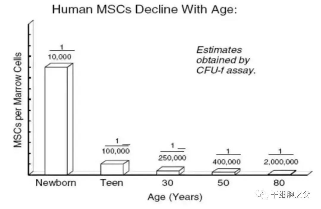 正常人体内已经有干细胞，为什么还要外源性补充干细胞？