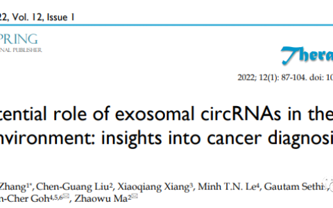Theranostics:外泌体环状RNA在肿瘤微环境中的作用及对肿瘤诊断和治疗的新见解