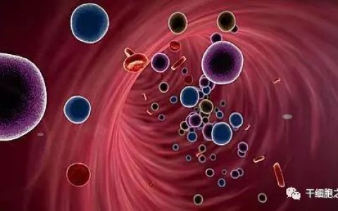 全球205项外泌体临床试验与研究现状