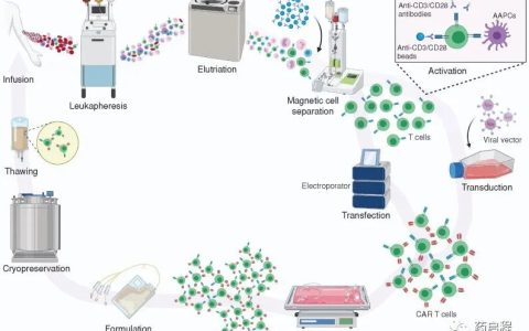 优化CAR T细胞生产的自动化封闭平台