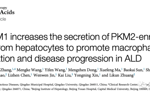 Mol Ther Nucleic Acids|青岛市市立医院辛永宁/庄立琨组: 揭示细胞外囊泡加剧酒精性肝病进程的新机制
