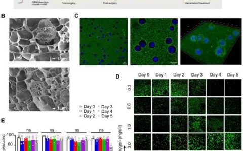 CAR-T免疫细胞治疗的最新研究进展汇总