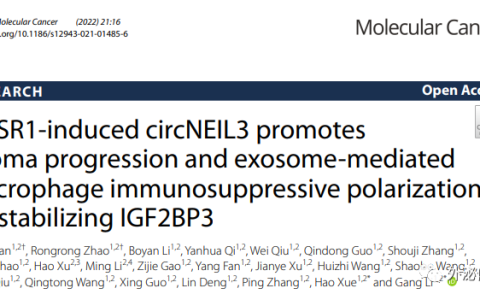 山东大学齐鲁医院 Molecular Cancer：揭示脑胶质瘤外泌体促进肿瘤免疫抑制微环境形成的新机制