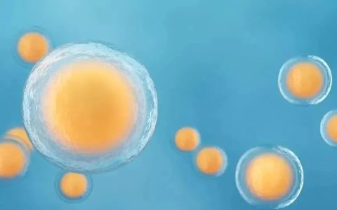 牛津大学 | 有史以来最大的人类家谱：2700万祖先