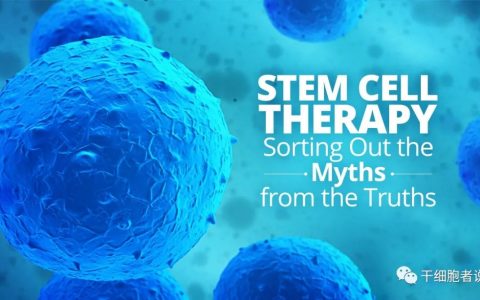 百花齐放：国内三款细胞药物IND获批，一款受理