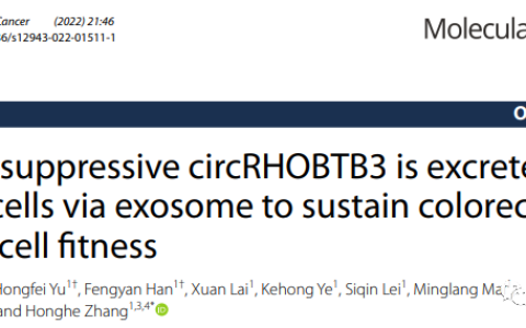 浙大基础医学院张红河/来茂德教授课题组:直肠癌细胞通过外泌体逃逸环状RNA的抑癌作用