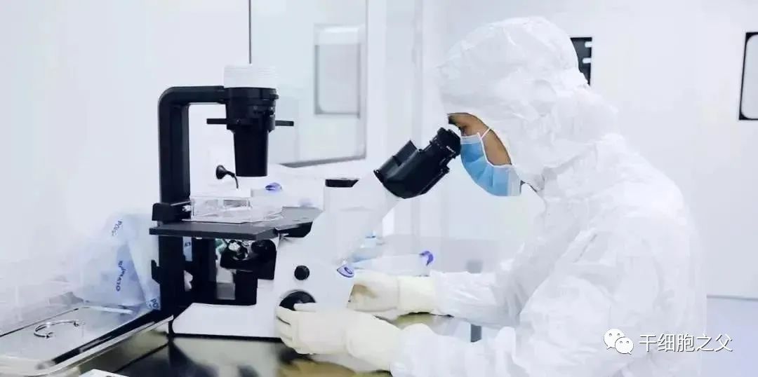 干细胞疗法的10大适应症及其临床案例！