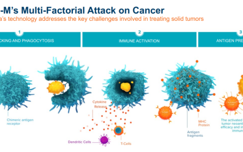 攻克实体瘤再添一员！CAR-M细胞疗法显示实体瘤治疗新希望