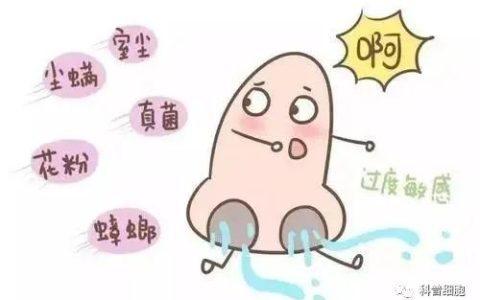 干细胞新进展丨过敏性鼻炎有望借助干细胞痊愈