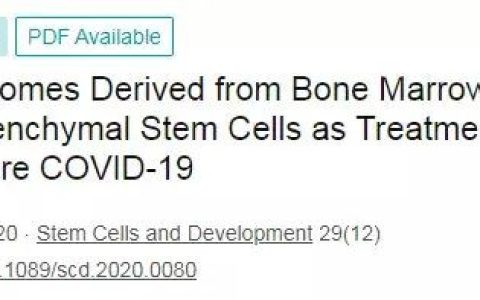 外泌体：打破不可逆损伤的修复障碍