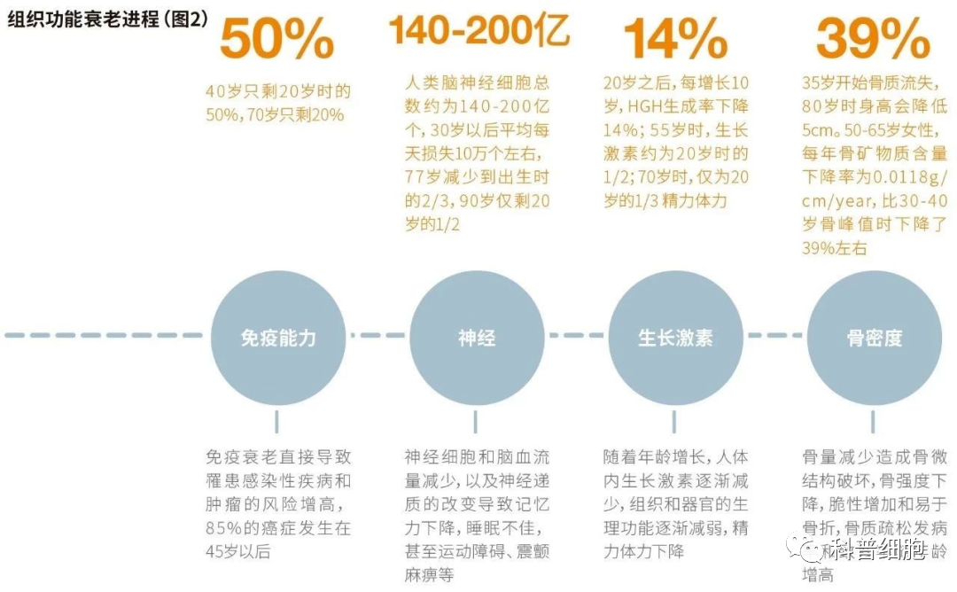 衰老是疾病的开始，细胞决定寿命的长短！