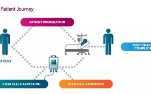 未来，我们将运用细胞治疗疾病