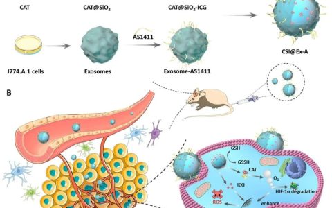 国内外泌体领域进展总结（2022年2月）
