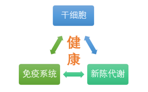 干细胞、免疫系统、新陈代谢，疾病康复的铁三角