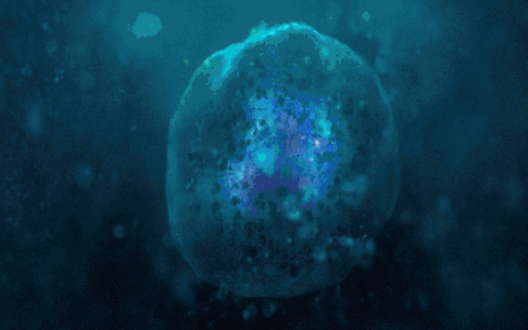 间充质干细胞治疗难治疾病的效果和安全性研究