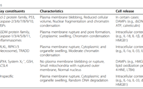 肿瘤免疫治疗前沿中的细胞焦亡