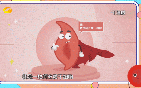 干细胞进入体内自动“导航”到身体需要恢复的地方