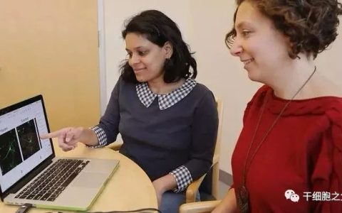 干细胞注射6个月后，卵巢恢复生机，更年期症状完全消除！