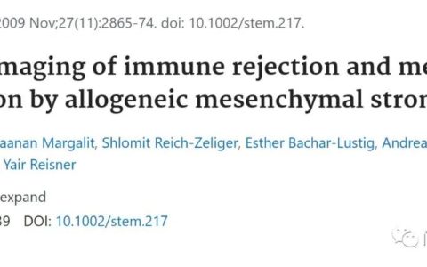 一文解释清楚输入的间充质干细胞在人体中的宿命