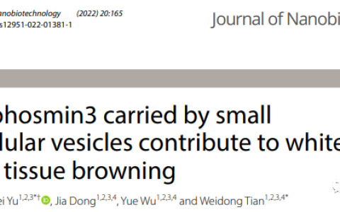 J Nanobiotechnol | 四川大学华西口腔医院田卫东教授团队：棕色脂肪胞外囊泡激活白色脂肪棕色化对抗肥胖