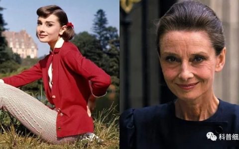 干细胞抗衰老效果分三个阶段