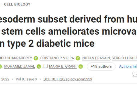 最新 | 使用人类iPS细胞治疗糖尿病并发症取得重大进步
