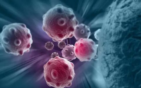 5分钟教你看懂癌症的免疫治疗