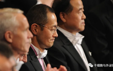 为了帮助世界上最古老的人口，日本正在投资移植iPS细胞