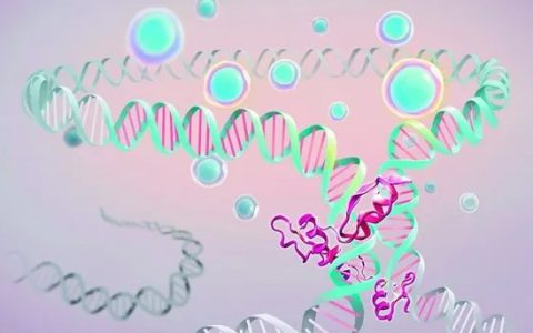 广州健康院在干细胞扩展潜能表观遗传调控机制方面取得新进展