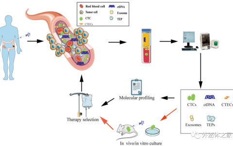 国内外泌体领域进展总结（2022年3月）