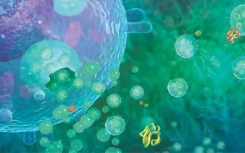 干细胞外泌体焕活细胞促新生，精准抗衰新选择