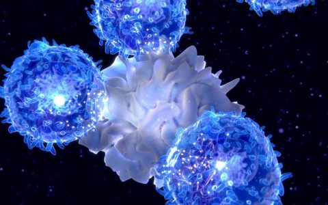 PD1+时代，共批准了多少免疫联合方案？