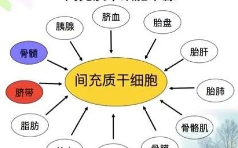 您还在纠结干细胞是否安全有效吗？