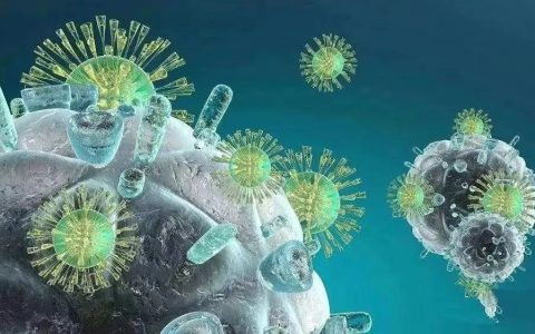 880万人的超级大数据！40岁后免疫细胞竟然大幅衰老！