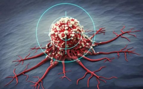 I Peace使用高通量方法加速推进同种异体iPSC衍生细胞疗法