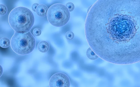 间充质干细胞的技术突破的三个方向