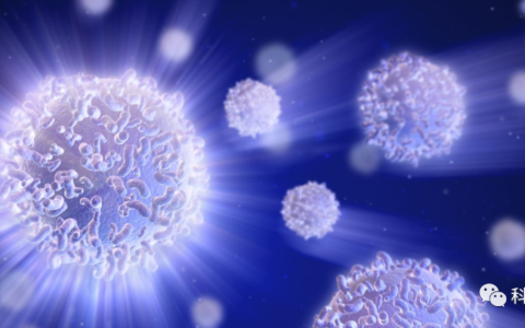 2022山东健康管理展/中国精准医疗展览会