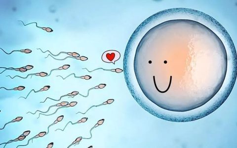 漫画图解干细胞，你会更容易理解！