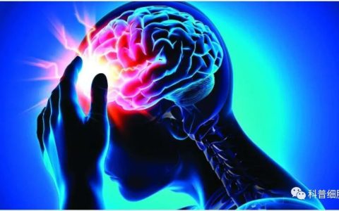 干细胞让70多岁的脑中风老人康复