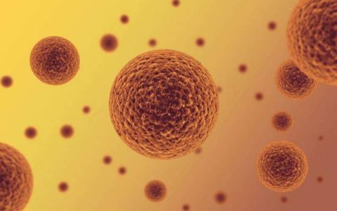 全面概括细胞修复身体的基本原理