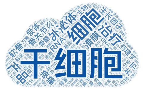 决定干细胞疗效的因素有哪几点？