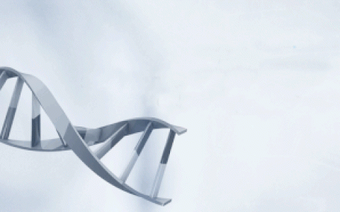 免疫细胞十问十答