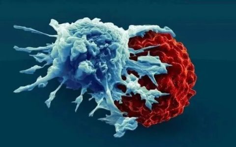 CAR-T疗法进军实体瘤！这10大靶点涉及超10种癌症，2022年有望迎来新突破