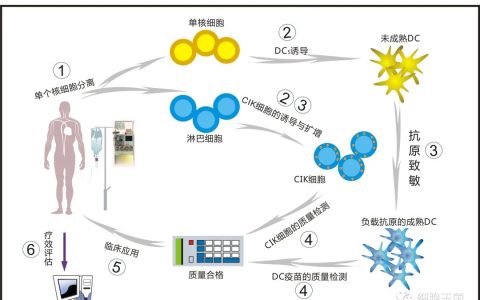 抗癌免疫细胞疗法：DC、CIK、NK、TIL、γδT... 有何不同？