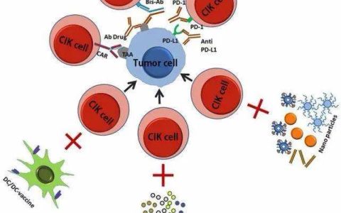除了120万一针的CAR-T，还有两大抗癌疗法CIK、NK，你都分得清吗？