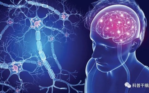 易文赛脐带、胎盘间充质干细胞存储，给新生儿最珍贵的礼物