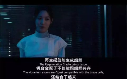 干细胞：生命的再生摇篮