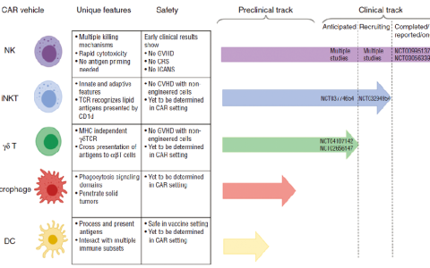 一文带你认清CAR-T、CAR-NK和CAR-M