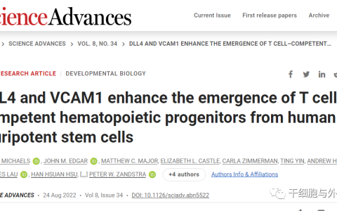 利用iPS细胞技术实现快速、高效培养人体免疫细胞的新突破