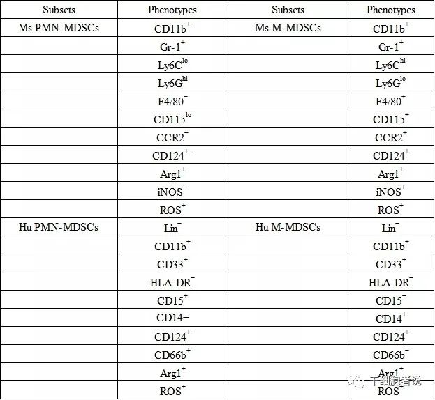 免疫细胞家族成员：MDSCs